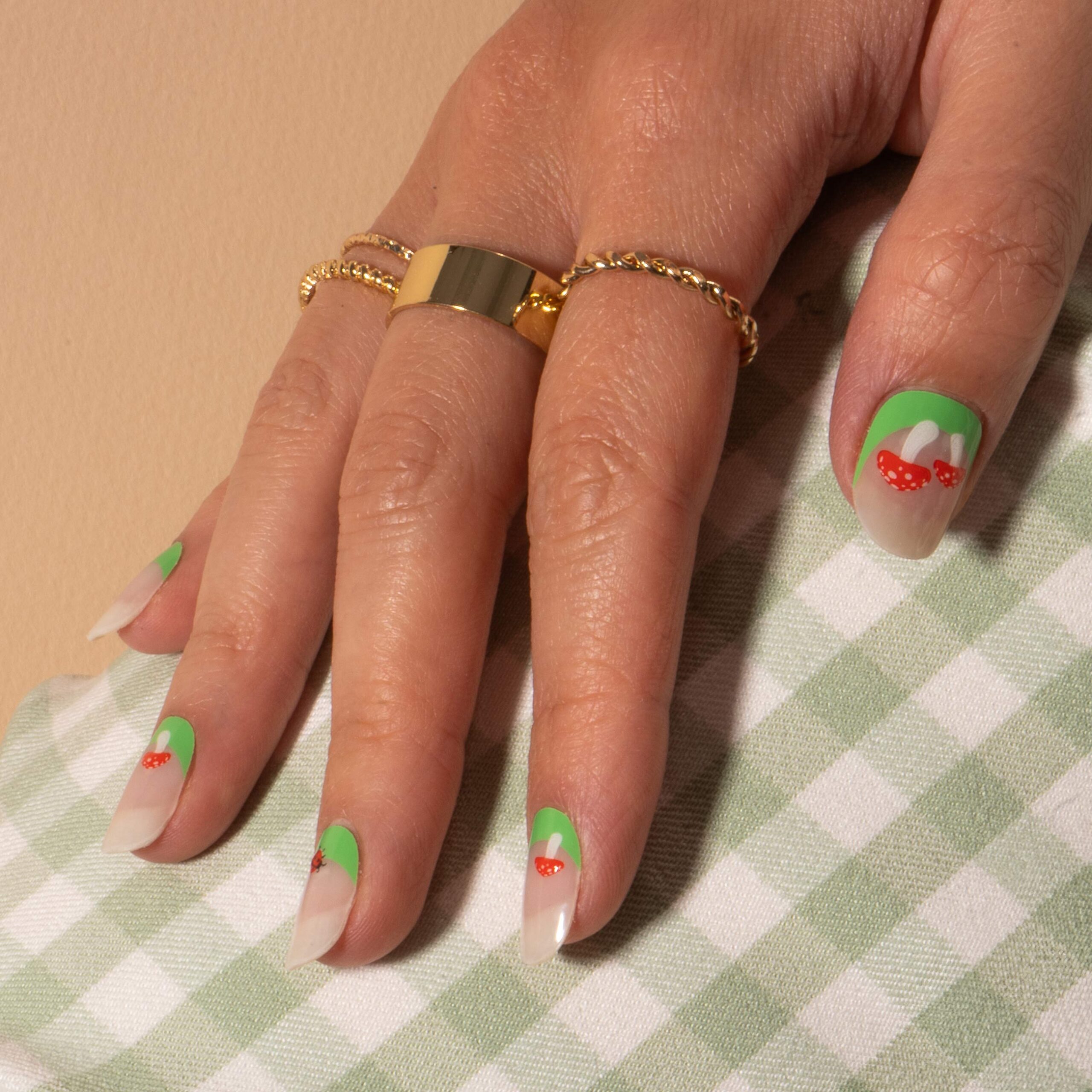 Lady Jenny - Image 7