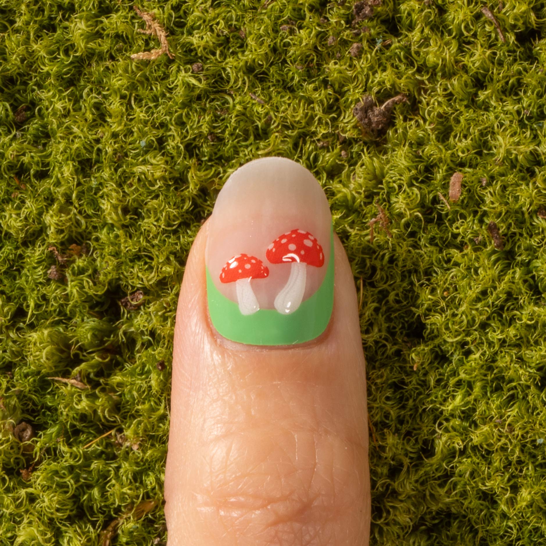 Lady Jenny - Image 6